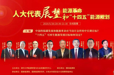 兩會代表與業(yè)內(nèi)專家達成共識：可再生能源發(fā)展規(guī)劃目標(biāo)制定要有前瞻性
